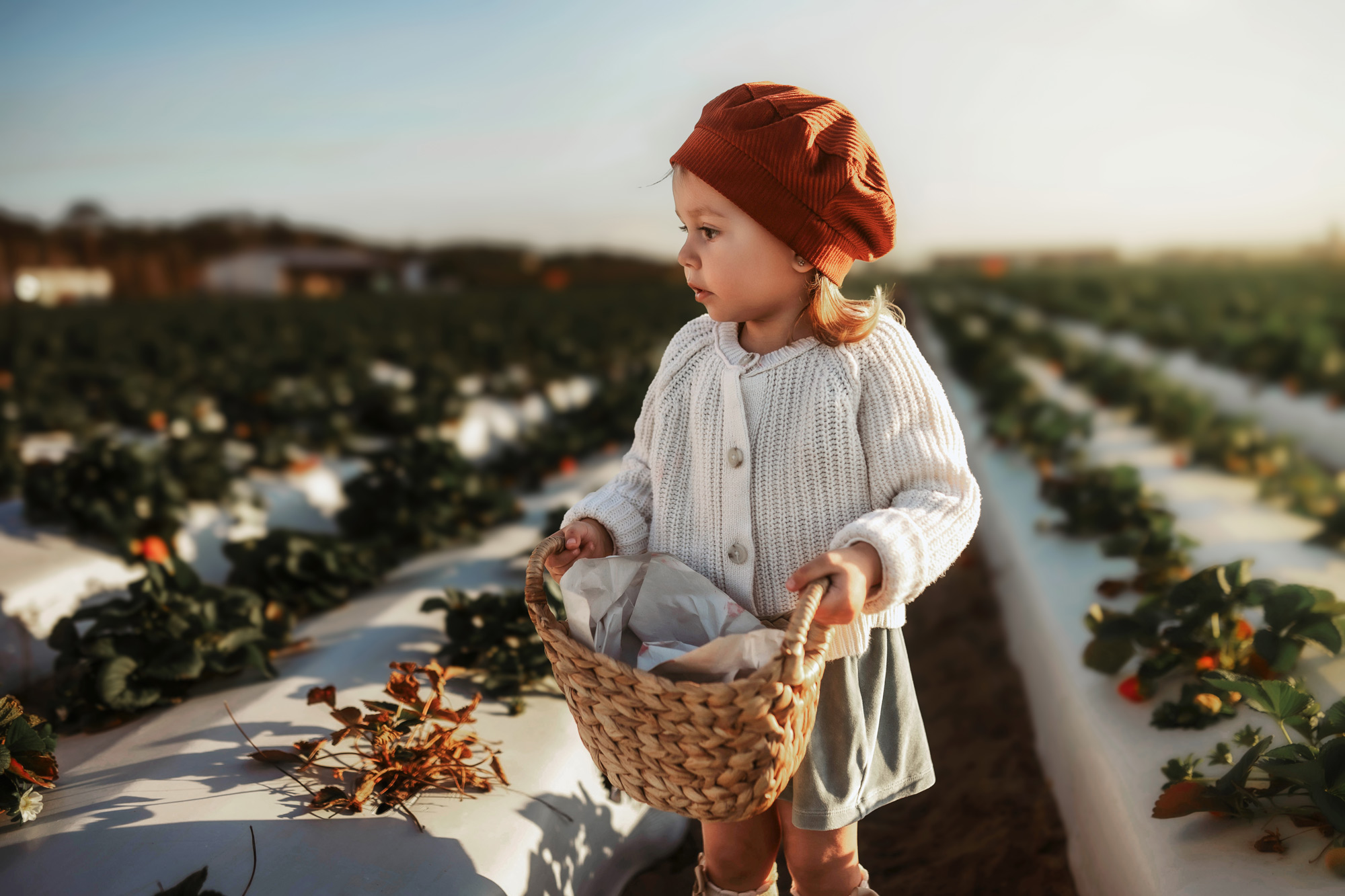 Toddler girl at the field family photoshoot in Orlando